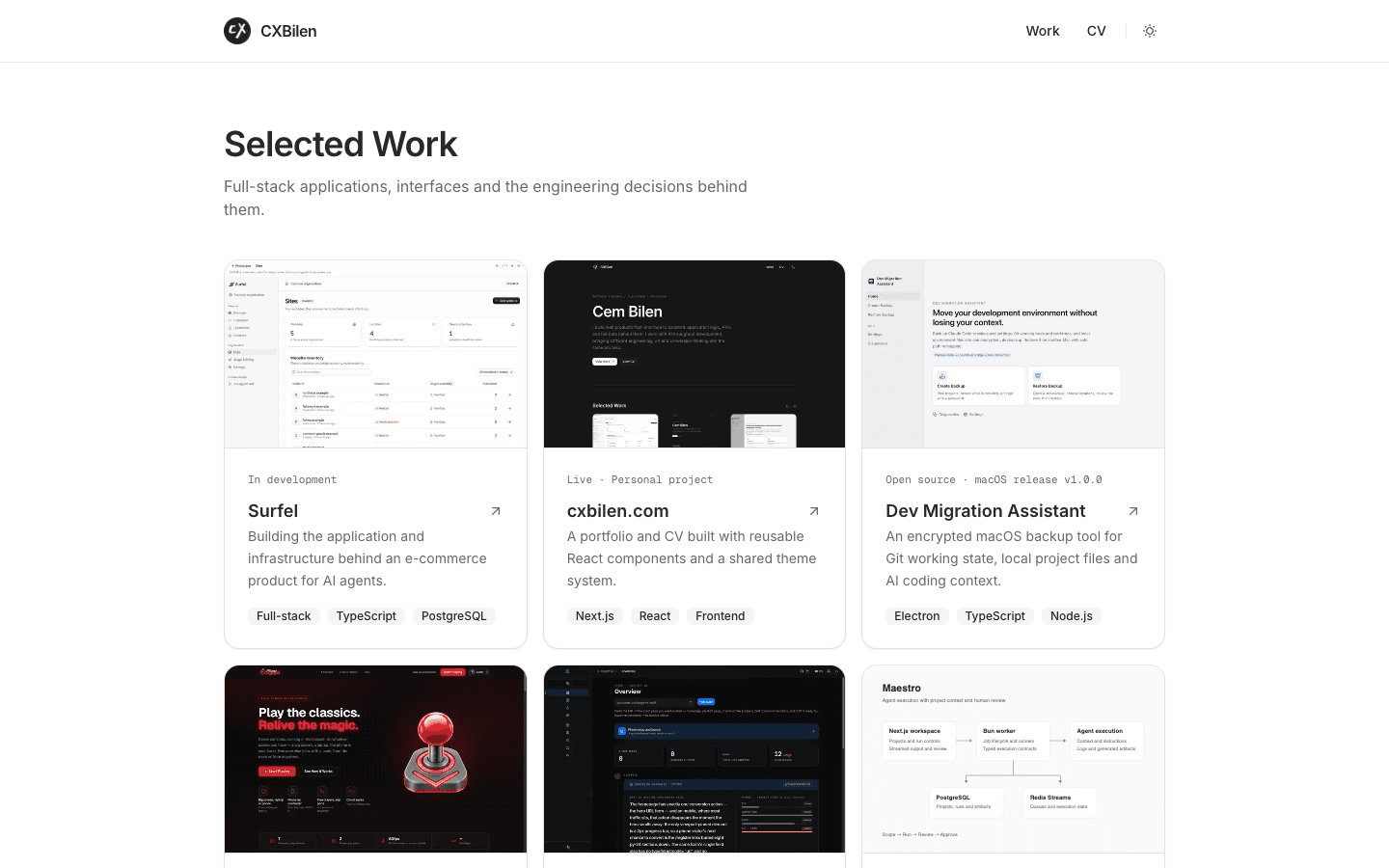Project overview from the website at desktop size.